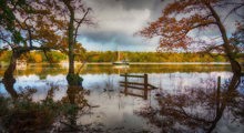 Beaulieu River Photo Comp Runner Up Autumn Colours By Maggie White (1)