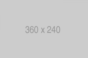 Placeholder alt text