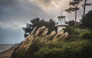 7e WINNER - Darin Goodsell - Photo Competition Gallery example image