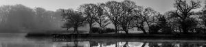 Barry Armstrong photo competition entry 2016 - shortlisted