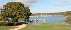 Gipsy Moth
