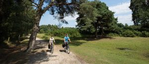 Cycling