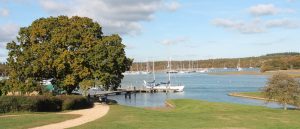 Gipsy Moth