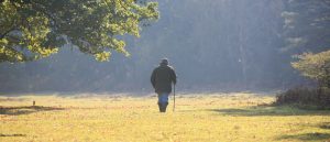 Walks