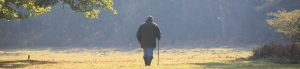 Walks