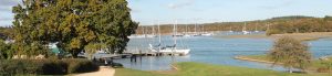 Gipsy Moth