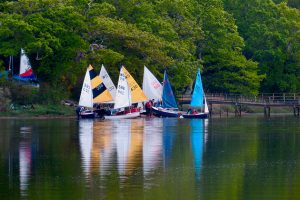 Vanessa-Cook--(870x580)