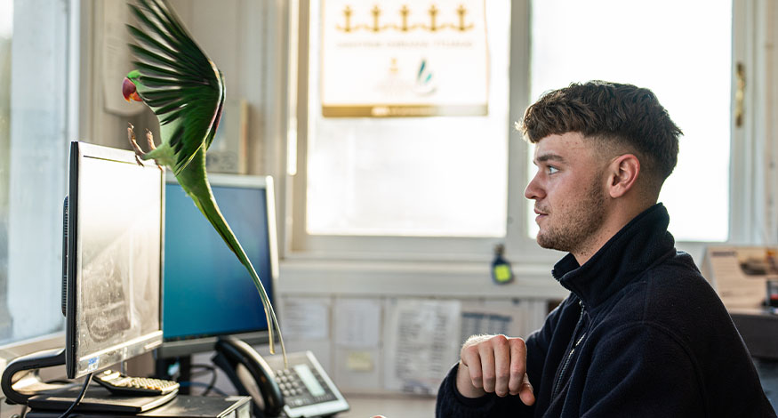 Apprentice at Beaulieu River