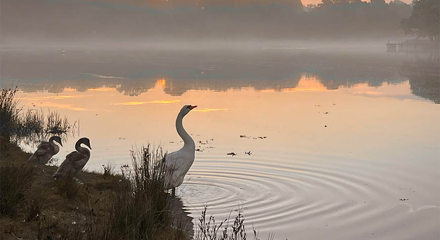 Beaulieu River photo competition